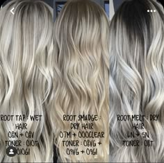 Blonde Toner Shades Redken, Blonde Toner Shades Eq, Redken Blonde Toner Formula, Biolage Highlights Blonde, Shades Eq Toner Formulas Blonde, Blonde Shades Eq Formula, Toner Haircolor, Blonde Hair Formulas