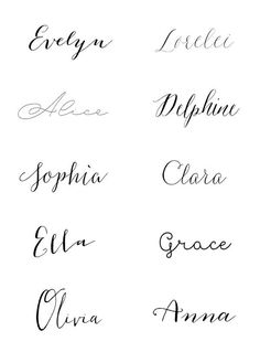 the different types of calligraphy that are used to write letters and numbers on paper