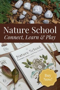 nature school connect learn and play book with rocks on the ground next to it, surrounded by leaves