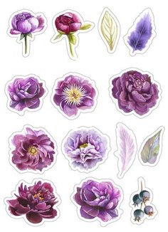 purple flowers and leaves stickers on a white background