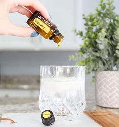 Stop Cravings, Living With Chronic Pain, Doterra Lemon, How To Stop Cravings, Doterra Diffuser Blends, Lemon Cucumber, Lemon Essential Oil, Essential Oils Guide, Essential Oils For Sleep