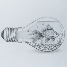 a drawing of a light bulb with a fish in it's mouth and pebbles inside