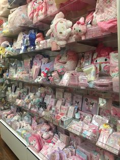 sanrio store Sanrio Stuff Aesthetic, Sanrio Shopping, Korean Store Aesthetic, Sanrio Collection, Plush Store, Sanrio Collection Room, Sanrio Stuff Toy, Hello Kitty Store