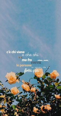 frasi sfondi🌻 Ip Wallpaper, Sunflower Iphone Wallpaper, Wallpaper Rose, Iphone Wallpaper Vsco, Arte Do Kawaii, Iphone Wallpaper Glitter, Tumblr Backgrounds, Funny Iphone Wallpaper, Simple Iphone Wallpaper