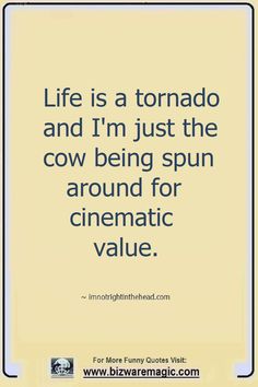 the quote life is a tornado and i'm just the cow being spin around for cinematic