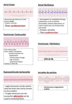 the different types of heartbeats and their functions