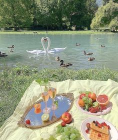 a couple of swans are swimming in the water near some fruit and waffles