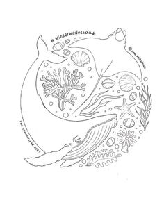 a drawing of a whale with seaweed and corals on it