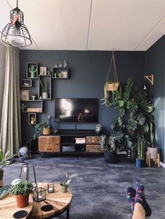 a living room filled with lots of plants next to a flat screen tv mounted on a wall