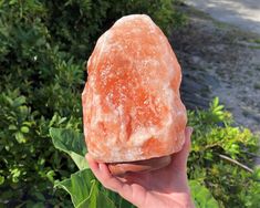 a person holding a large rock in their hand