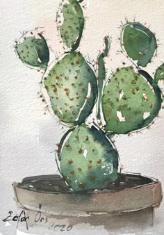 a watercolor painting of a cactus in a pot