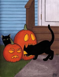 a black cat standing next to two pumpkins