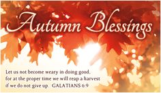 an autumn blessing with leaves and the words, autumn blessings let us not become weary in doing good, for at the proper time we will