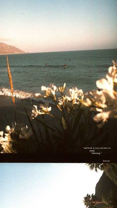 two pictures of the ocean with people in the water and one has flowers growing out of it