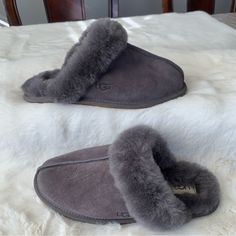 Brand New Ugg Scuffette Ll Slippers New With No Box Size 7 In Women Color Nightfall Suede Upper Sheepskin Collar Sheepskin Lining And Insole Rubber Outsole Sz Tag Have Been Marked To Prevent Store Returns Grey Ugg Slippers, Winter Moccasins, Black Ugg Slippers, Uggs Moccasins, Ugg Dakota, Ugg Scuffette, Chestnut Uggs, Grey Slippers, Ugg Tasman Slippers