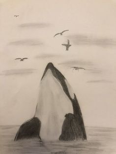 a drawing of an orca whale in the ocean