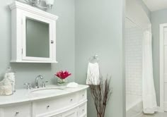 a bathroom with white cabinets and gray walls