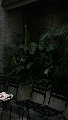 three black metal chairs sitting next to each other near a table and potted plant