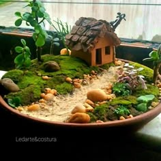 a potted plant with moss, rocks and a small house on the ground in it