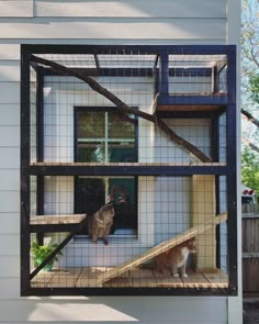 two cats sitting in the window of a house with metal bars on it's sides