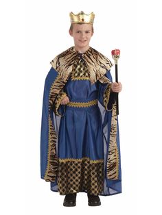 a little boy dressed in a king costume