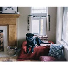 a black dog sitting on top of a couch next to a fire place in a living room