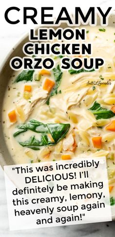 a bowl of creamy chicken orzo soup on a marble counter top with the caption, this was incredibly delicious i'll definitely be making this creamy