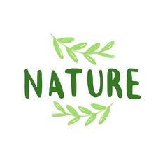 the word nature written in green ink on a white background with an illustration of leaves