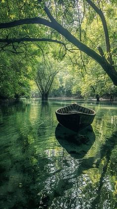 a boat floating on top of a river surrounded by trees