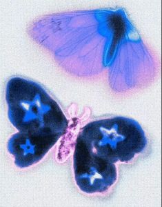 two blue and purple butterflies sitting next to each other