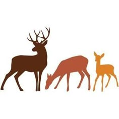 three deer standing next to each other on top of a white background with orange and brown silhouettes