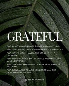 a green leaf with the words grateful written in white on it, surrounded by raindrops