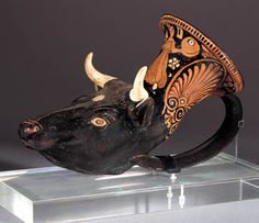 an ox's head on display in a glass case