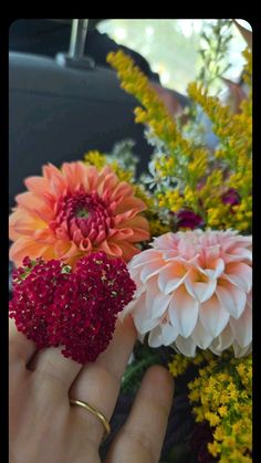 a person holding flowers in their hand