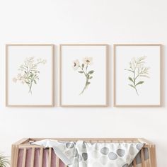 three framed flowers are hanging on the wall above a crib