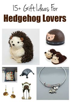 gifts for hedgehog lovers are featured in this post