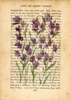 an old book page with purple flowers on it and the words anne of green gabless