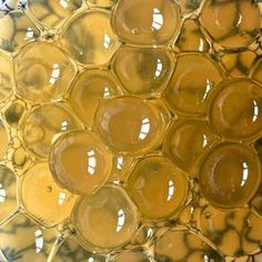 an array of glass bowls filled with liquid