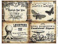 four different labels with an octopus, mushroom and butterfly