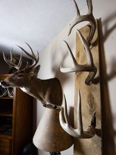 a deer head mounted to the side of a wall next to a lampshade