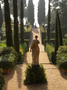 a statue in the middle of a garden with lots of trees and bushes around it