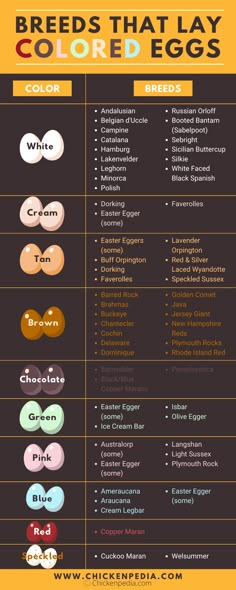 an info sheet showing the different types of eggs in each egg color and size, with their names