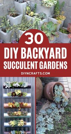 some plants that are in pots and on the ground with text overlay saying 30 diy backyard succulent gardens