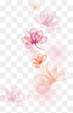 three pink flowers on a white background, flower, watercolor painting png and psd