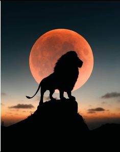 a lion standing on top of a hill with the moon in the background