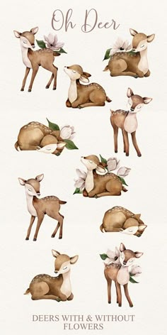 deers with and without flowers are shown in this watercolor painting style, which includes the