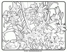 an image of flowers coloring pages for adults and children to print on the computer or use in