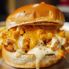 a cheese covered chicken sandwich on a plate