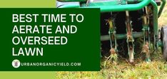 the best time to aerate and overseed lawn mowers for weeding