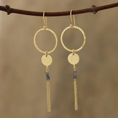 two gold hoops with blue beads hanging from them on a twig tree branch